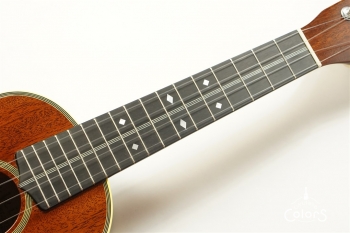 HM-C20 Concert -TR10th Anniversary Model- #361